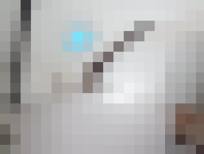  / #19