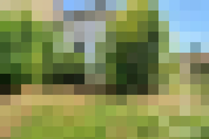  / #12