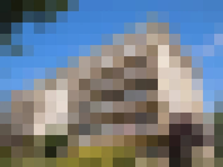  / #7