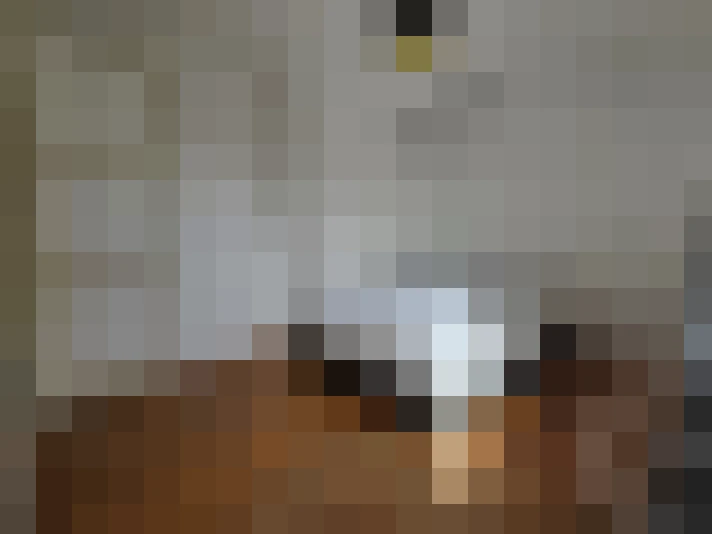  / #18