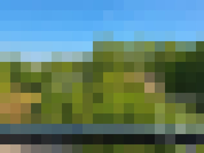 / #12