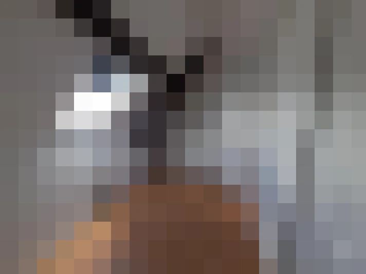  / #7