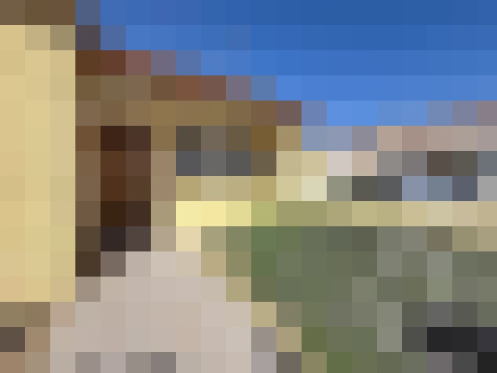  / #16