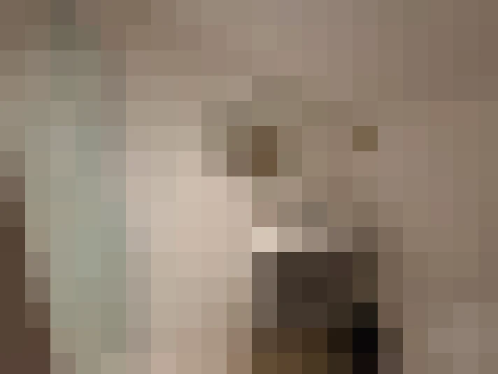  / #8