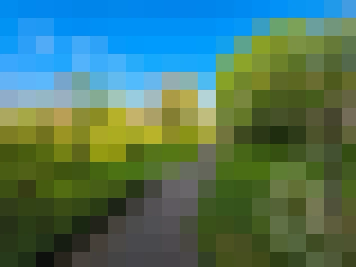 / #8