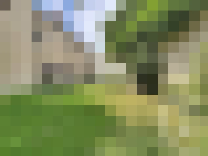  / #16