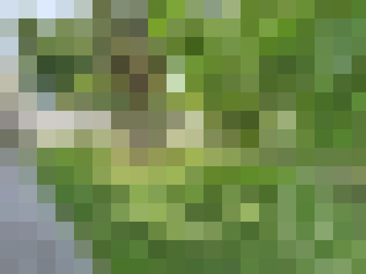 / #15