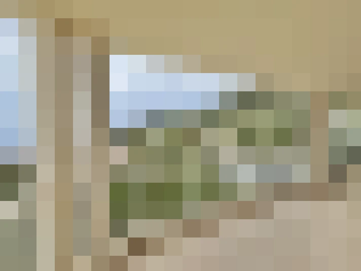  / #19