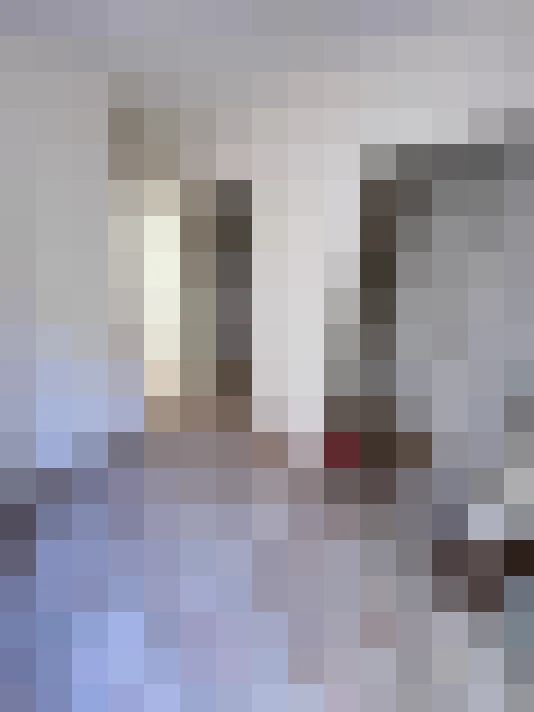  / #10