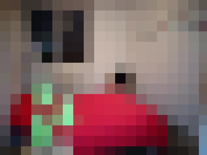  / #8