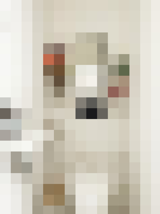  / #22