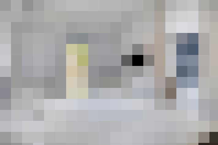  / #20