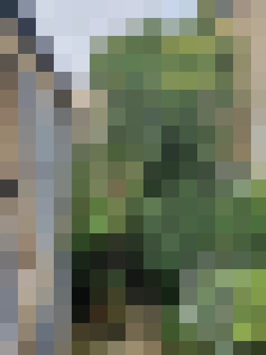  / #17
