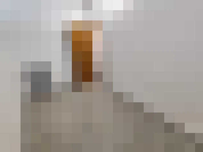  / #8