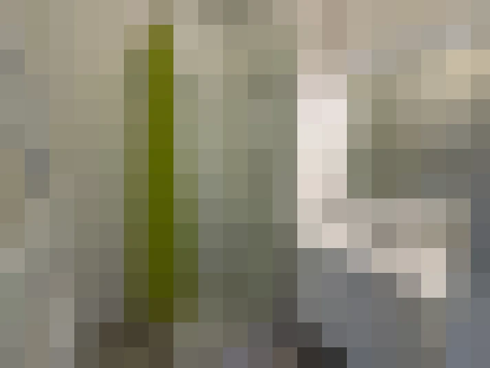  / #9