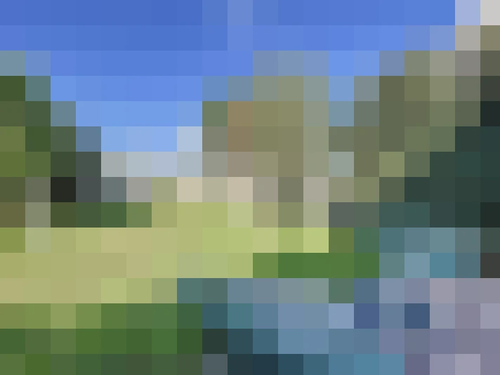  / #14