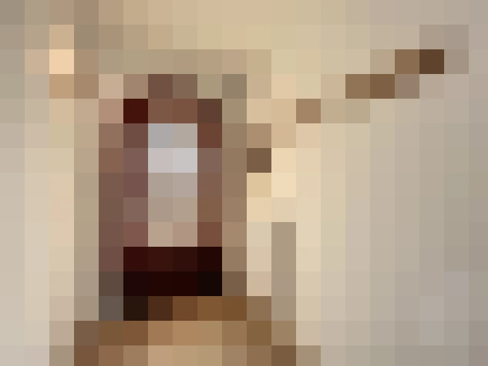  / #12