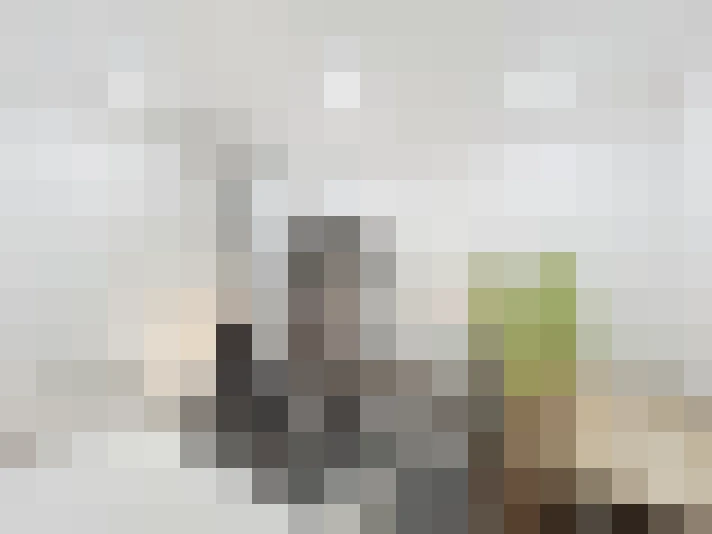  / #16