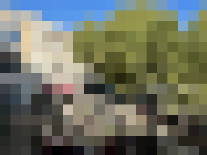  / #15