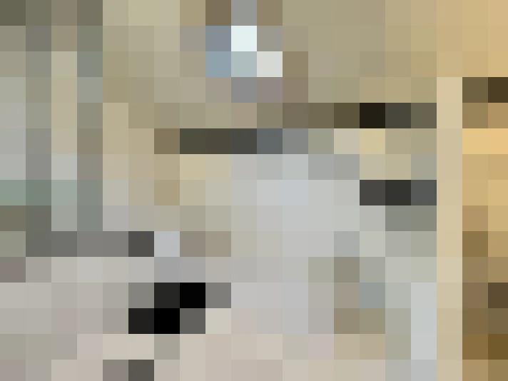  / #14