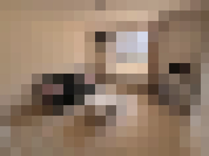  / #6