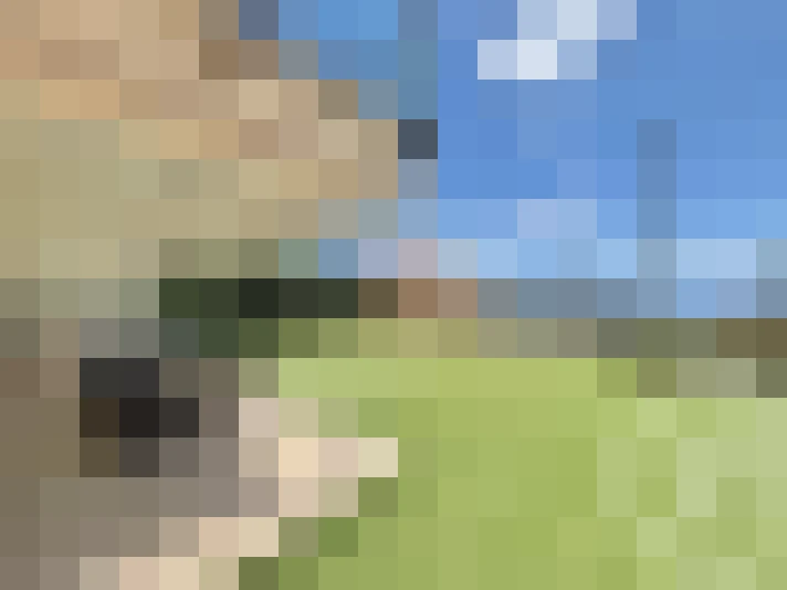  / #14