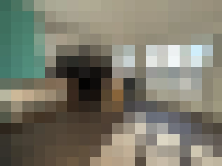 / #14