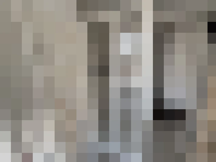  / #14