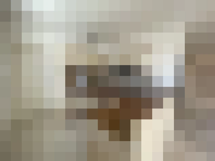  / #13