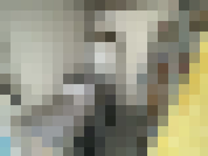  / #12