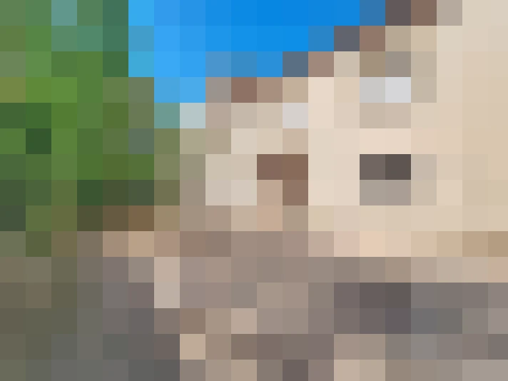  / #11
