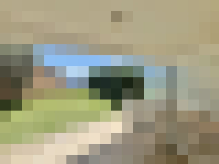  / #15