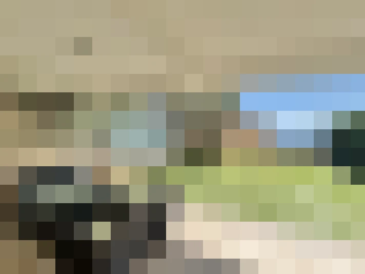  / #16