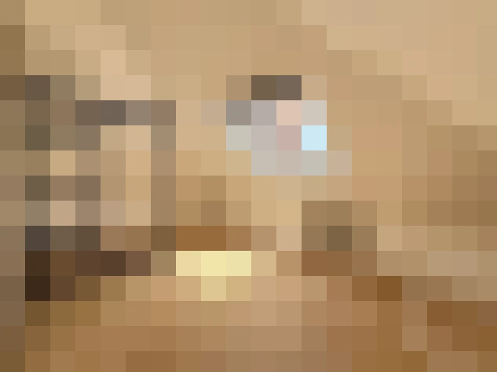  / #6