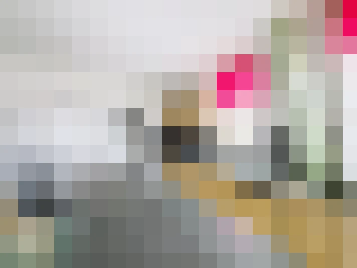  / #13