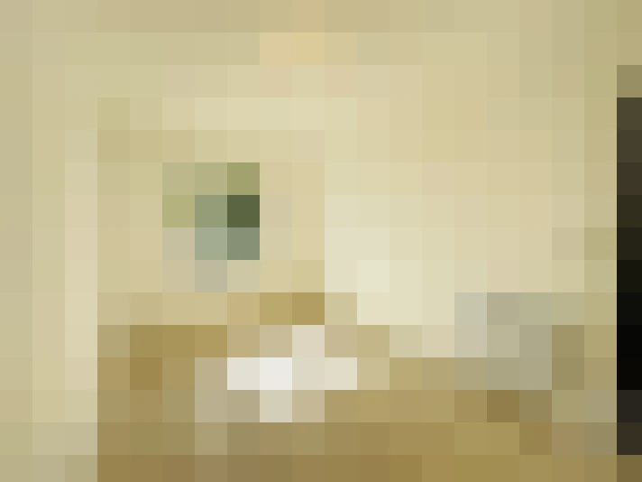  / #19