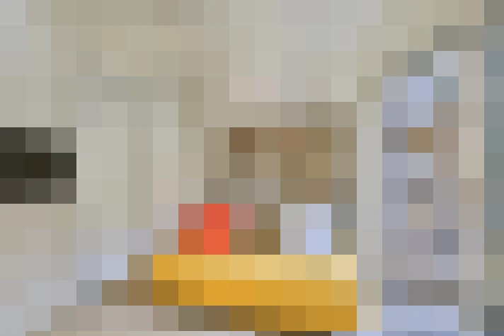  / #15