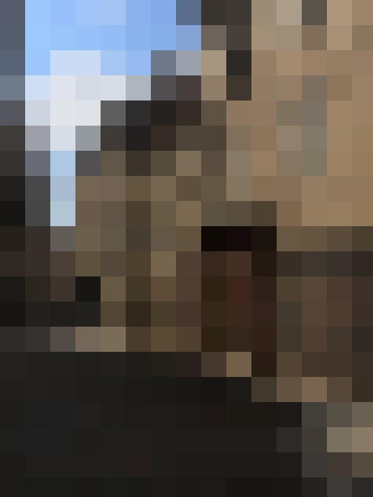  / #7