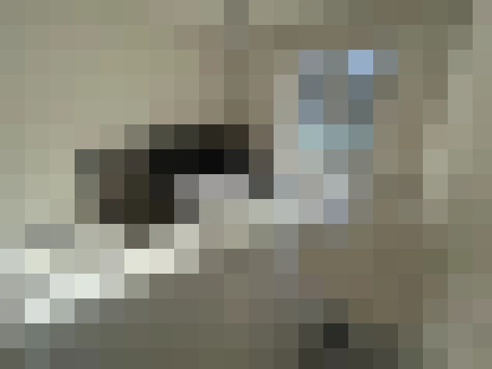  / #2