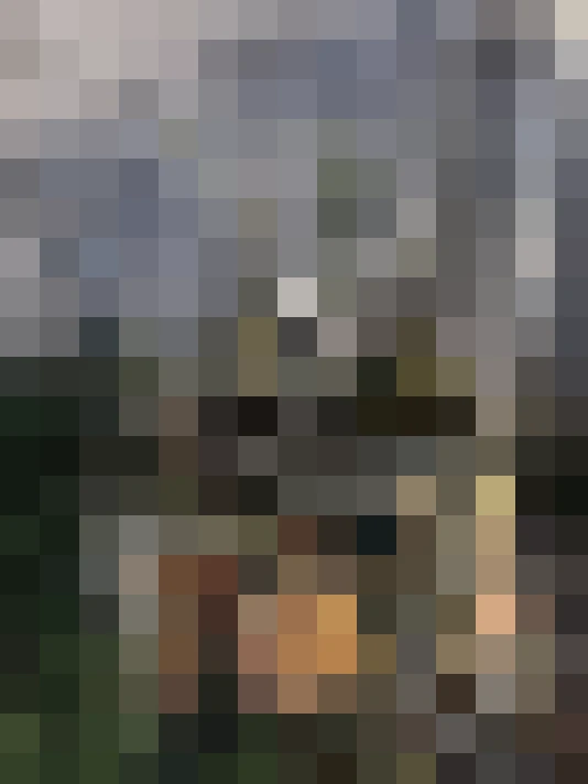  / #14