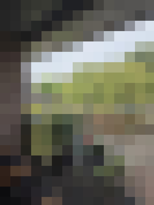  / #15