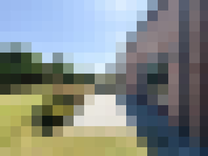  / #8