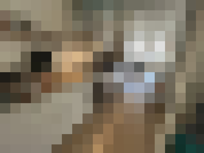  / #24