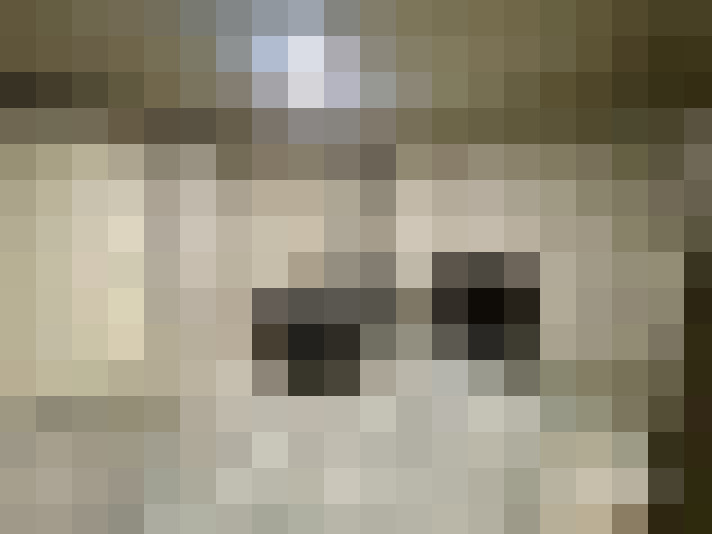  / #20