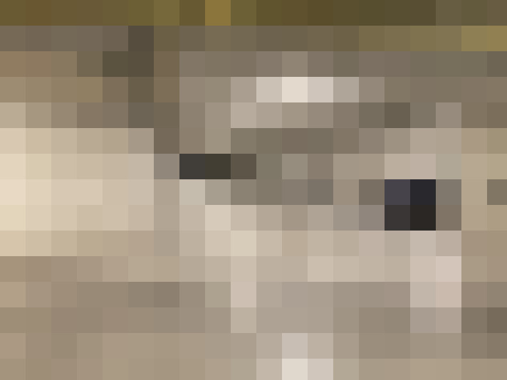  / #24