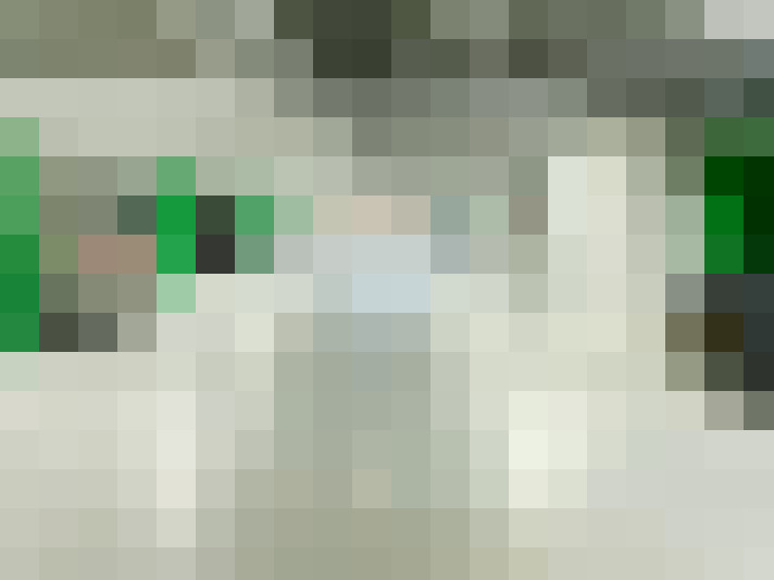  / #24