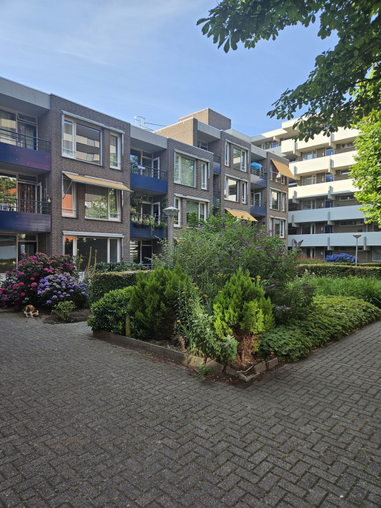 Bekijk foto 1/8 van apartment in 's-Hertogenbosch
