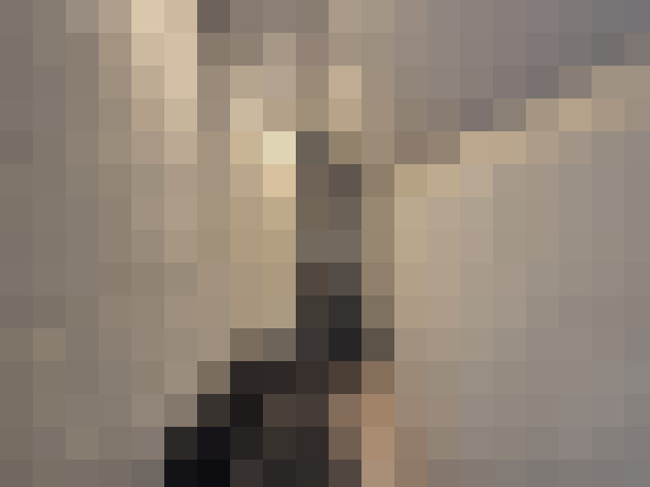  / #19
