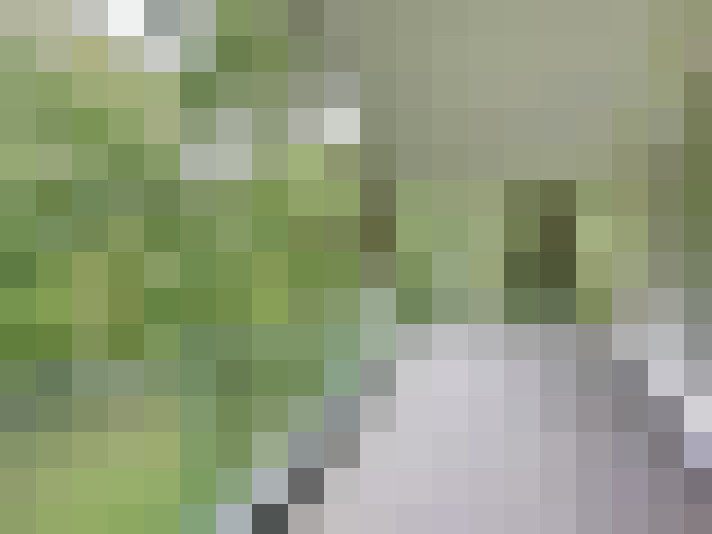  / #16
