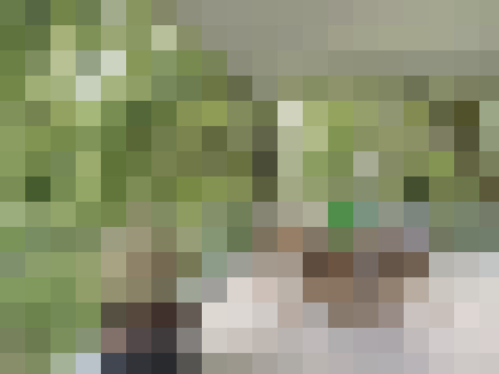  / #15